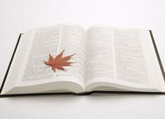 热那亚年轻球员崭露头角，受到教练组赞扬