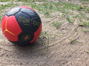 九游娱乐官网-“沙滩赛场燃爆天府新区，沙滩手球和合球上演极限对决”